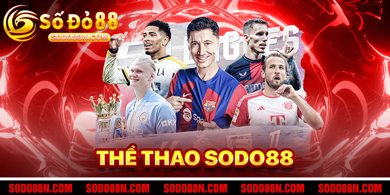 Thể Thao