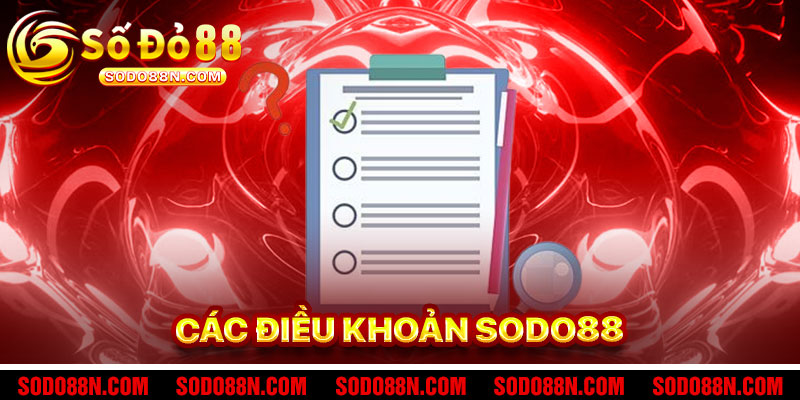 Các Thứ Quan Trọng Của Điều Khoản Sodo88